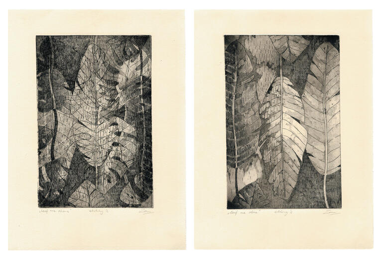 "Leaf me alone" series, etching and aquatint, 2019